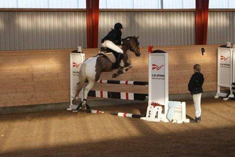 Anden særlig race Charlie *B-PONY* **R.I.P D. 13.03.2012** - Egum MB Jeg savner dig billede 17