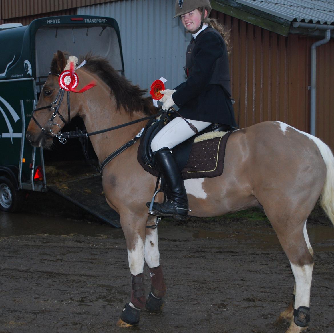 Anden særlig race Charlie *B-PONY* **R.I.P D. 13.03.2012** - Født vinder <3 billede 20