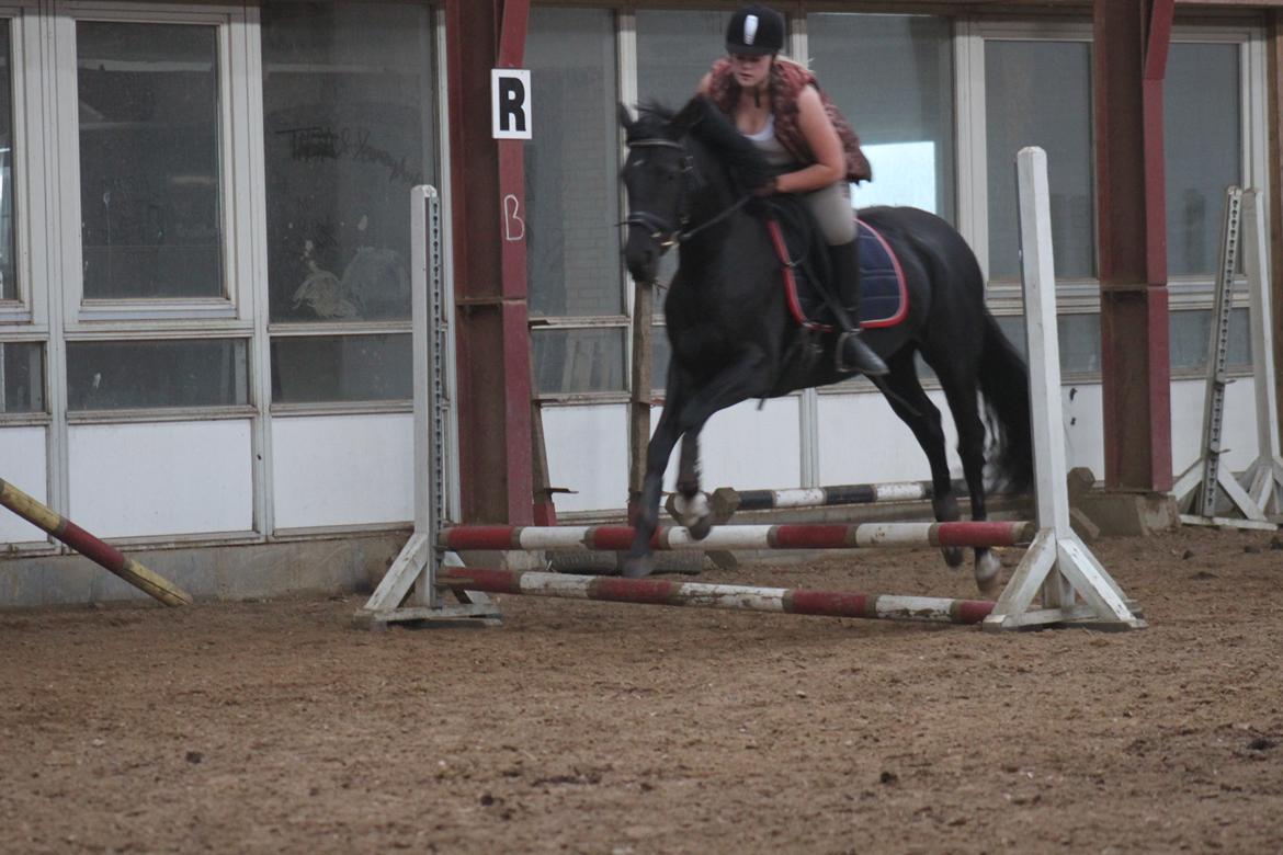 DSP Lille Asserholt Infinity - første gang vi springer... 
 billede 4