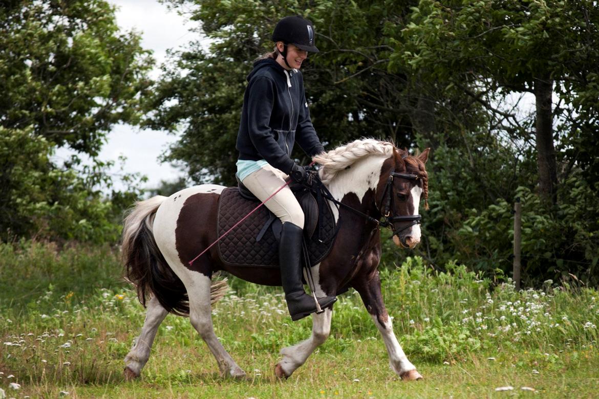 Anden særlig race Funny Spot billede 13