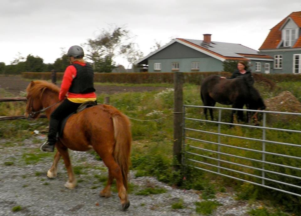 Islænder Saga fra nr felding 11 billede 7