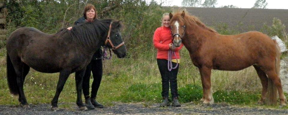 Islænder Saga fra nr felding 11 billede 9