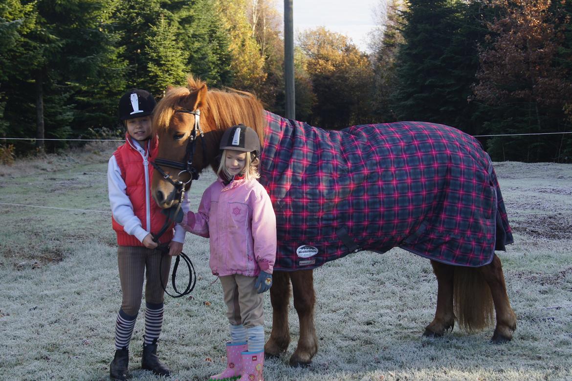 Anden særlig race Rosa - (: billede 23