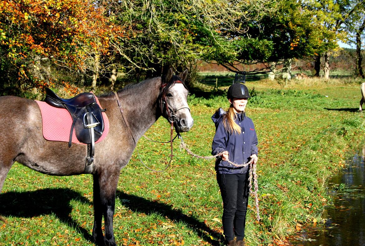 Connemara Guinness Dark Surprise billede 1