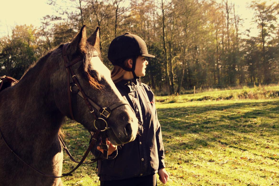 Connemara Guinness Dark Surprise billede 8