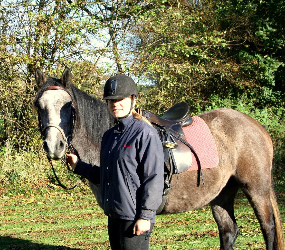 Connemara Guinness Dark Surprise billede 9