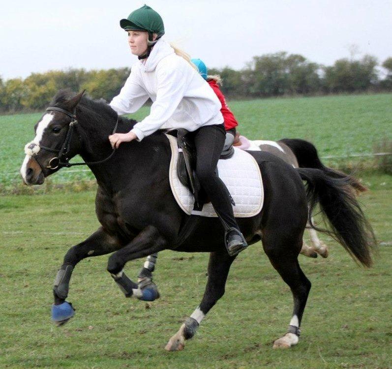 DSP Fredbo´s Image - Leo Cup Øst 2012 - 3 Plads i A1 finalen, samlet nr. 3 
Fantastisk afslutningstævne på sæson 2012, fantastisk pony. billede 10