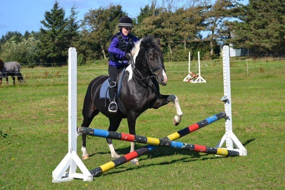 Pinto Vitterup efterskoles Shadow<3 billede 1