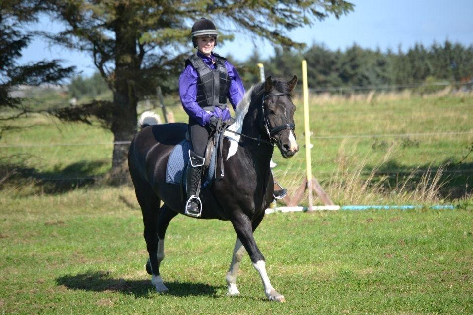Pinto Vitterup efterskoles Shadow<3 billede 2