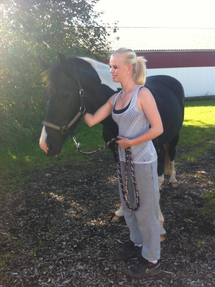 Pinto Vitterup efterskoles Shadow<3 billede 5