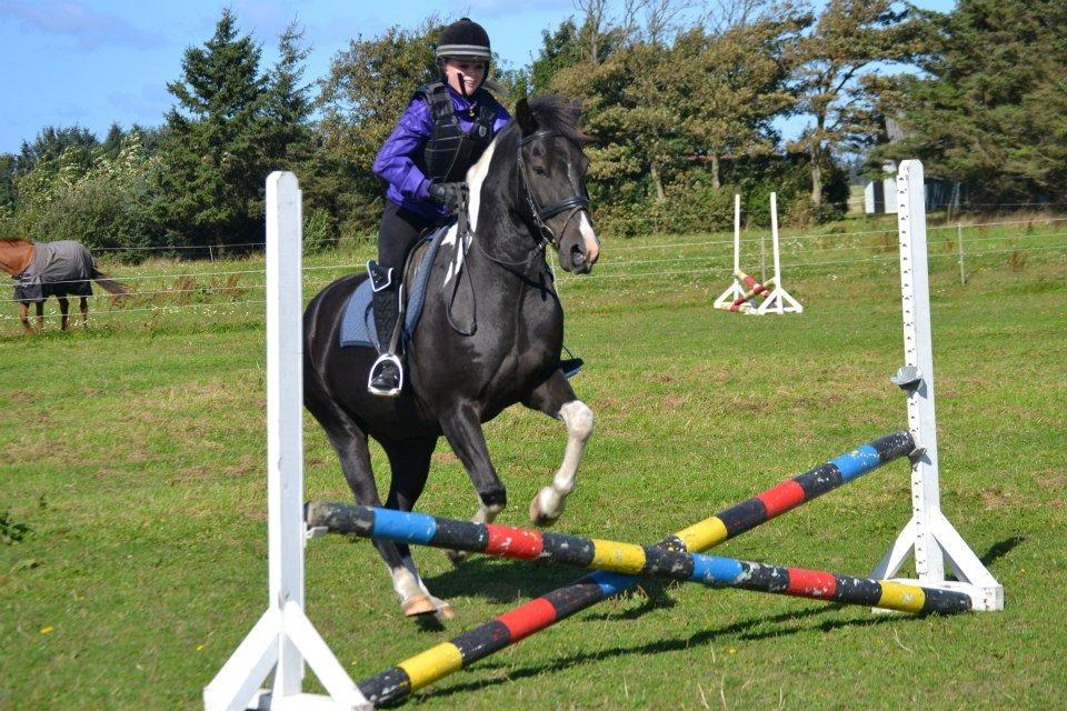 Pinto Vitterup efterskoles Shadow<3 billede 14