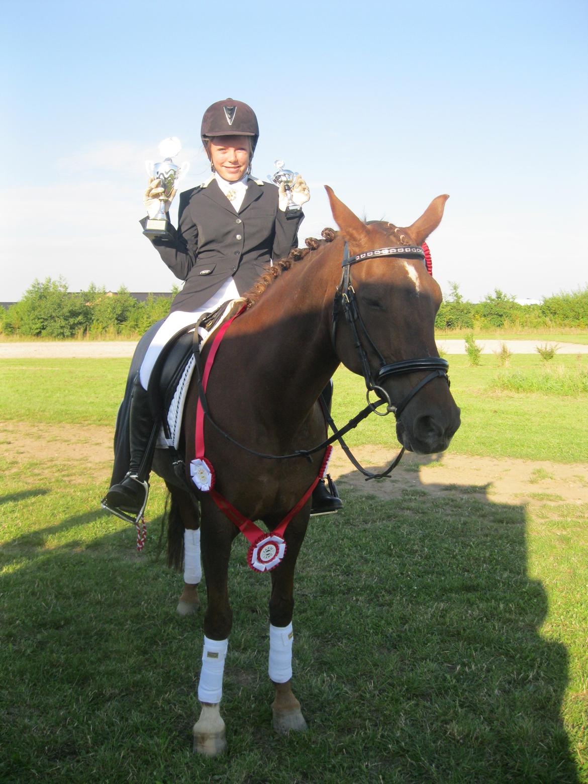 DSP Møgelholts Eternity - Farmland vinder 2012! <3 billede 8