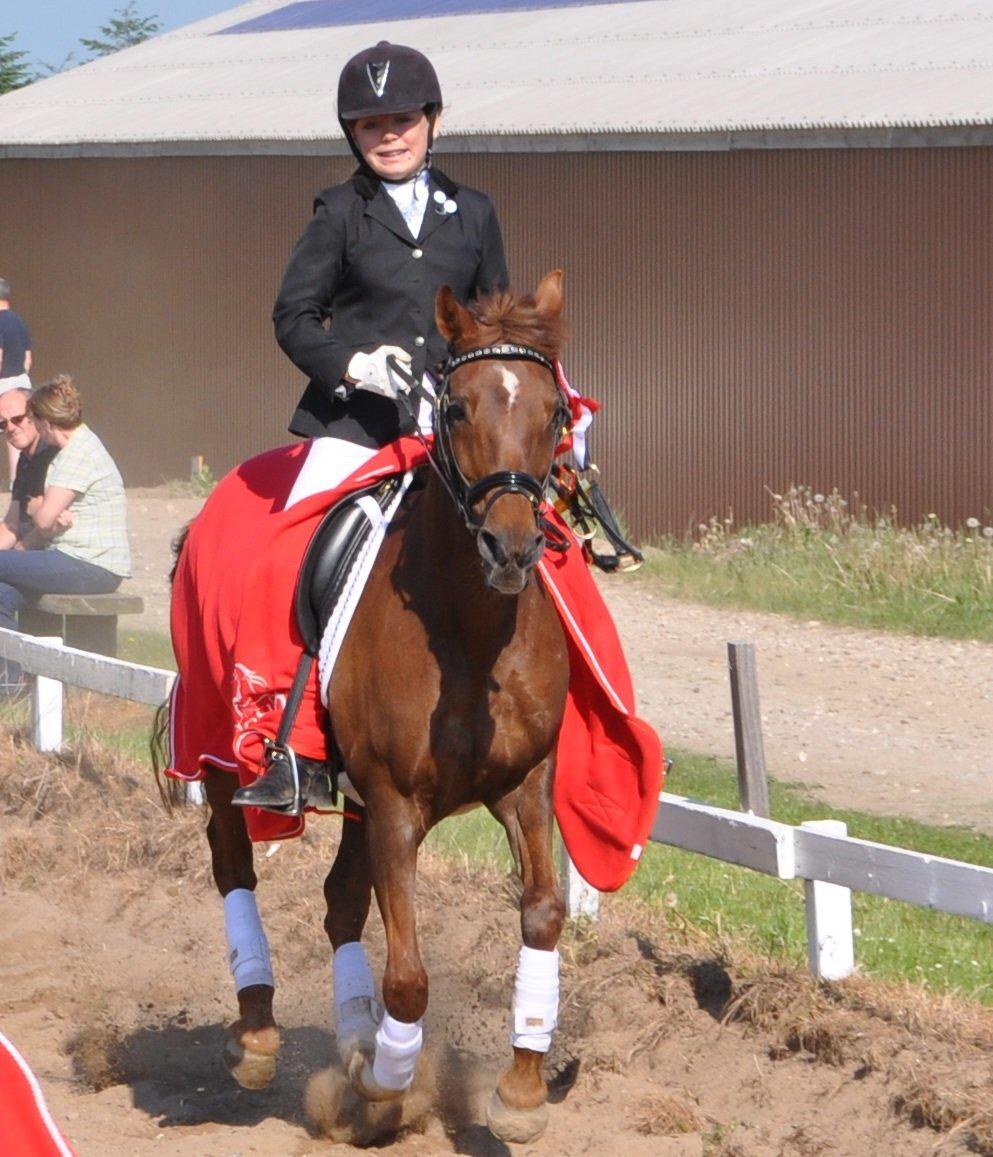 DSP Møgelholts Eternity - Kommunemester 2012 <3 billede 17