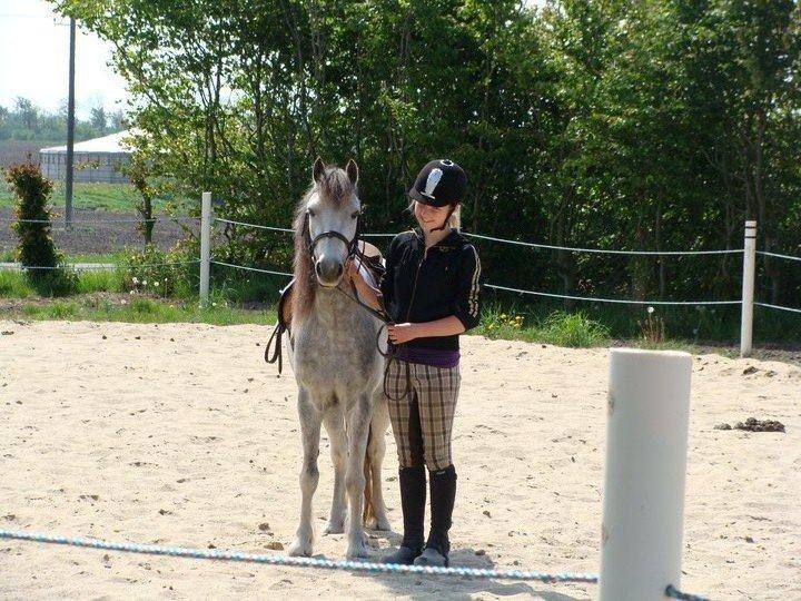 Anden særlig race Mollie  - Sommeren 2011!<3 billede 2