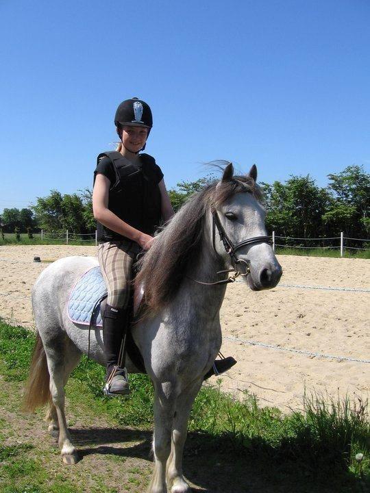 Anden særlig race Mollie  - Lige kommet hjem fra en tur i skoven!:* billede 4