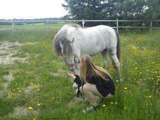 Anden særlig race Mollie  - Det er dig der gør mit liv til et eventyr!:* billede 9