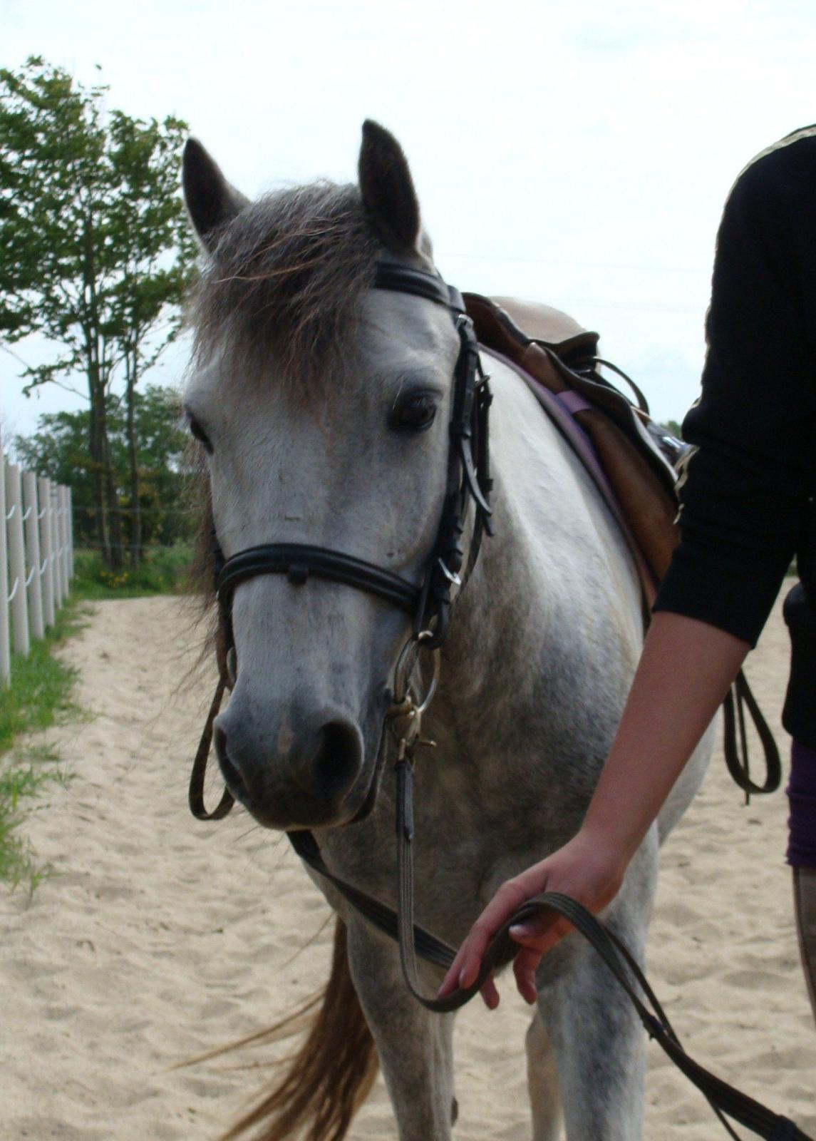 Anden særlig race Mollie  - Du vil ALTID være i mit hjerte skat!:* billede 17