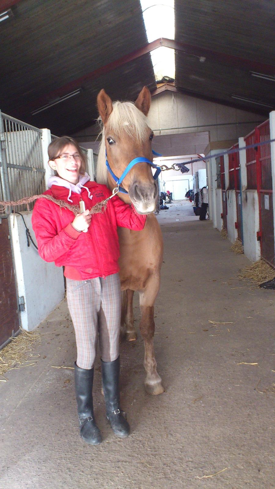 Haflinger Bosse *EUR* (Red) - Bosse og Anne<3
Foto: mig billede 4