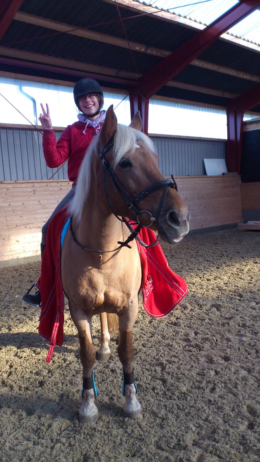 Haflinger Bosse *EUR* (Red) - Anne og Bosse<3
Foto: mig billede 15