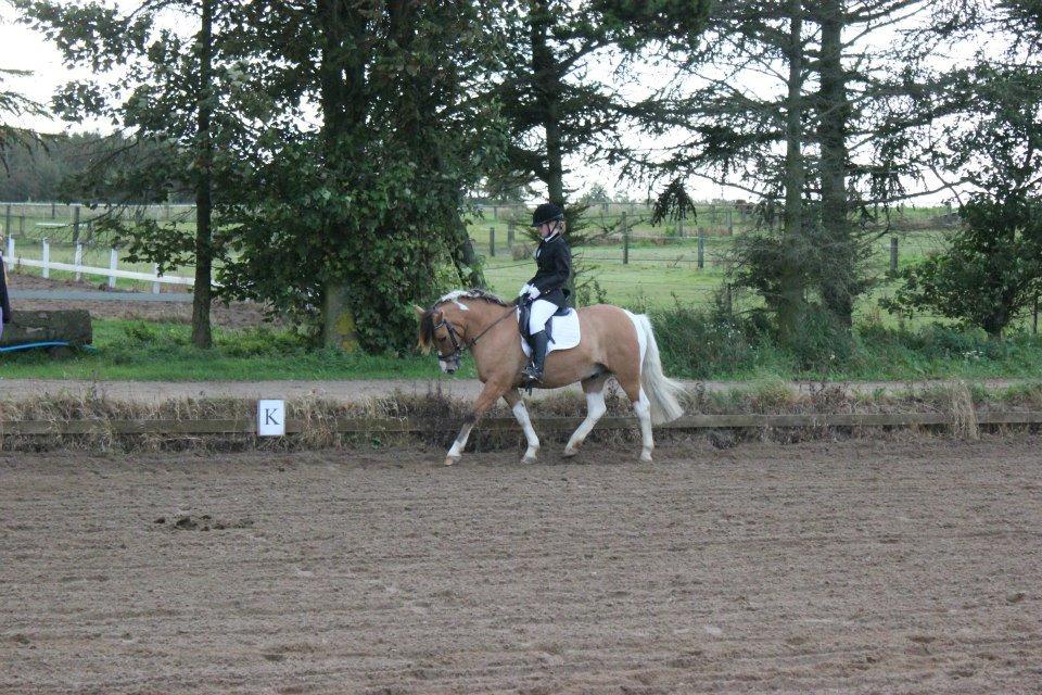 Anden særlig race Charming *Tidl. Part* billede 13