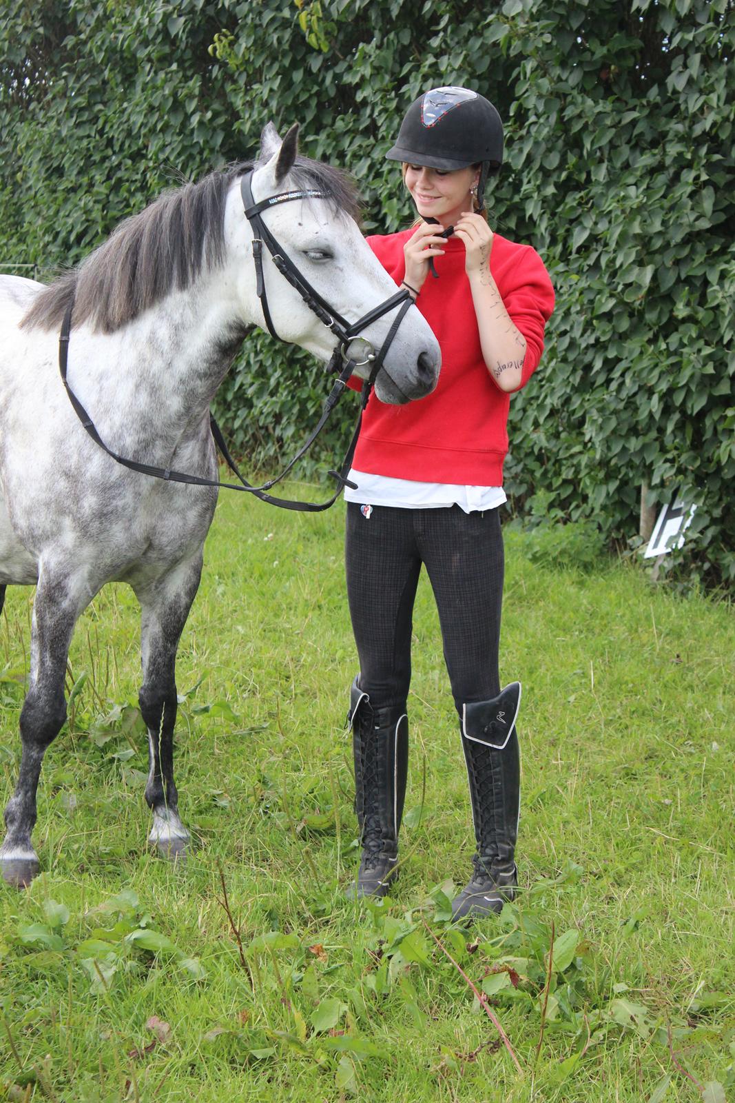 Anden særlig race Theis - VBP <3 billede 1