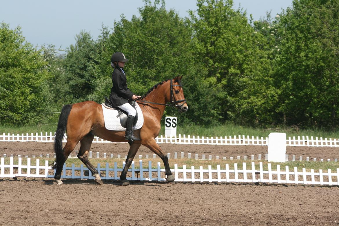 DSP Jokeren "Jokke" billede 13