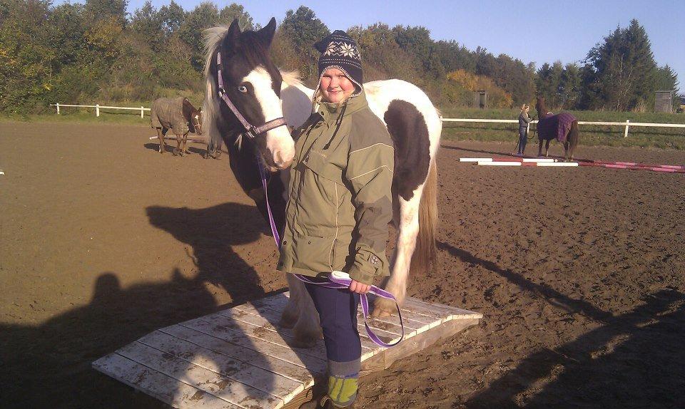 Tinker Skovbakkens Maggi May - Med min søster Lene til Traildag på Anderup Rideklub. billede 23