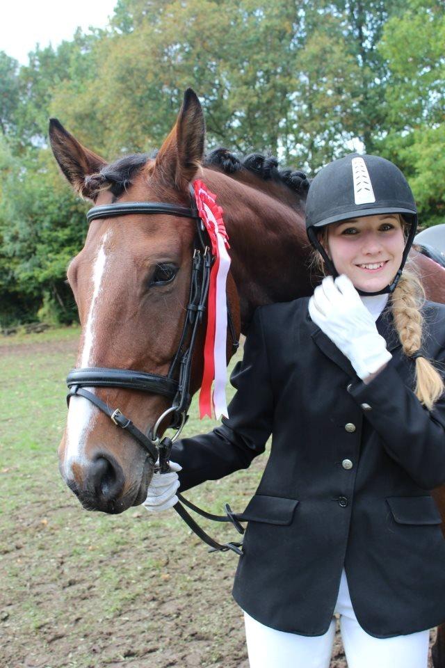 Polsk Varmblod Bielins Cyrenajka billede 3