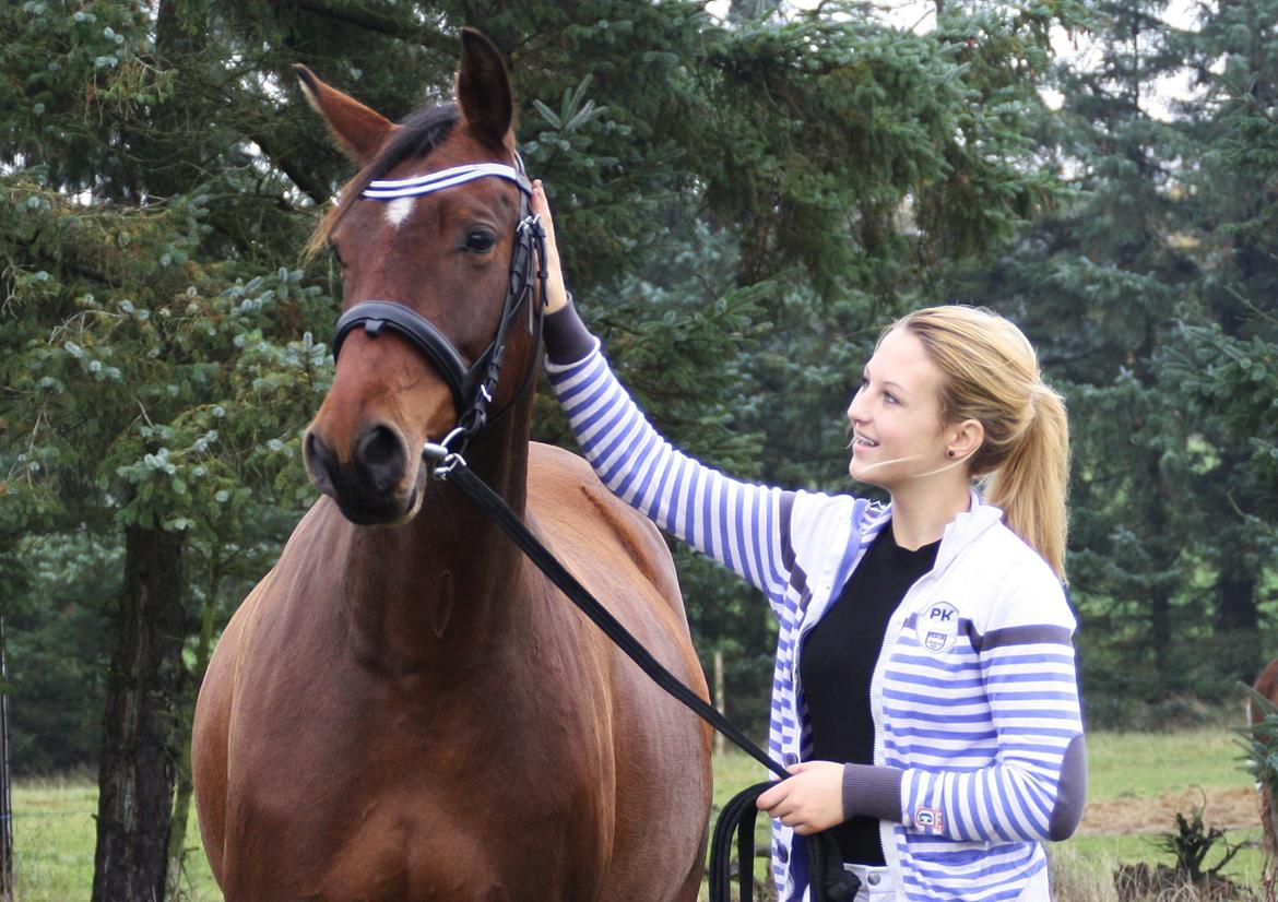 Anden særlig race Ariel billede 2