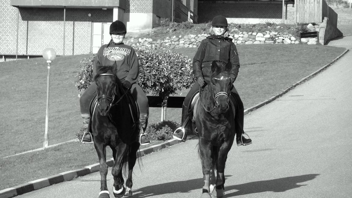 Anden særlig race Miss Purple R.I.P et evigt savn <3 - Vejlefjord efterskole! <3 billede 16