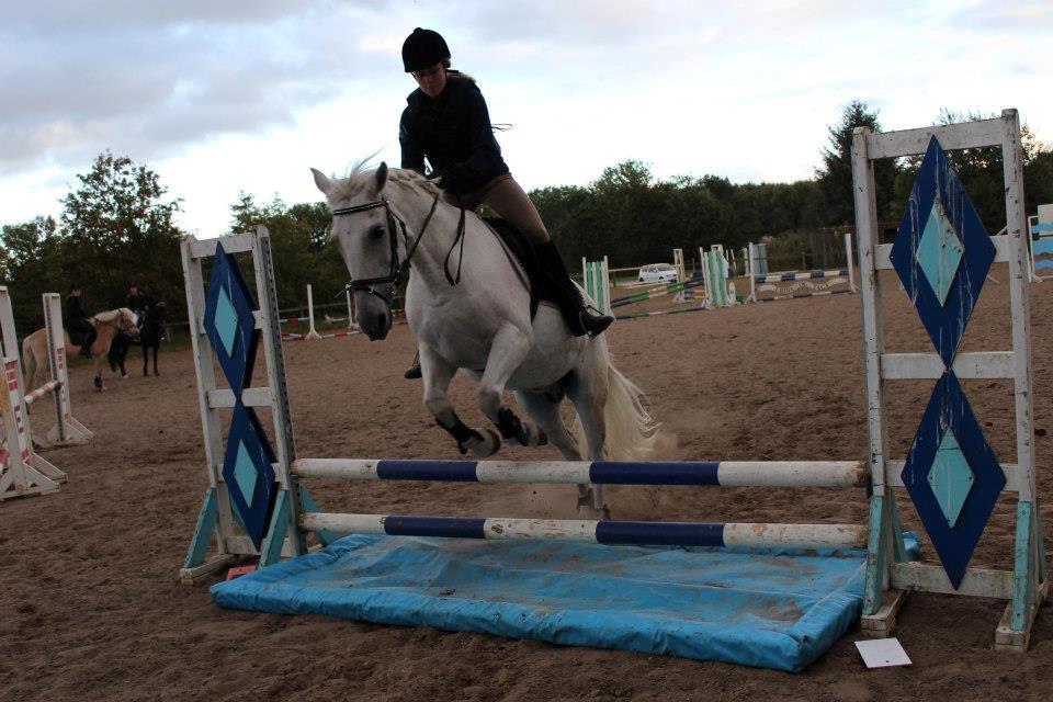 Anden særlig race Mickey billede 13