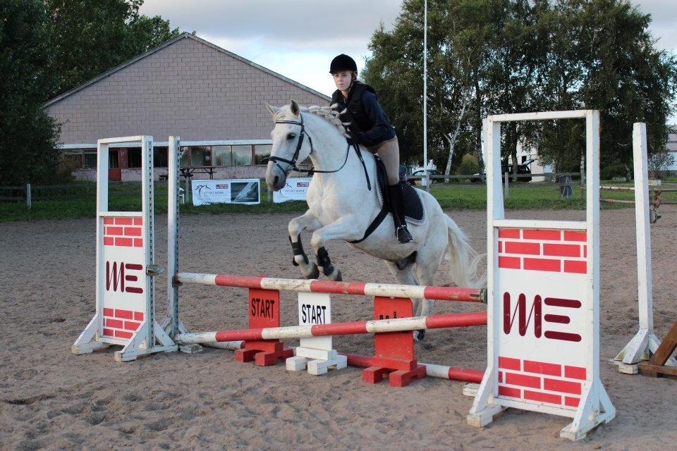 Anden særlig race Mickey billede 14