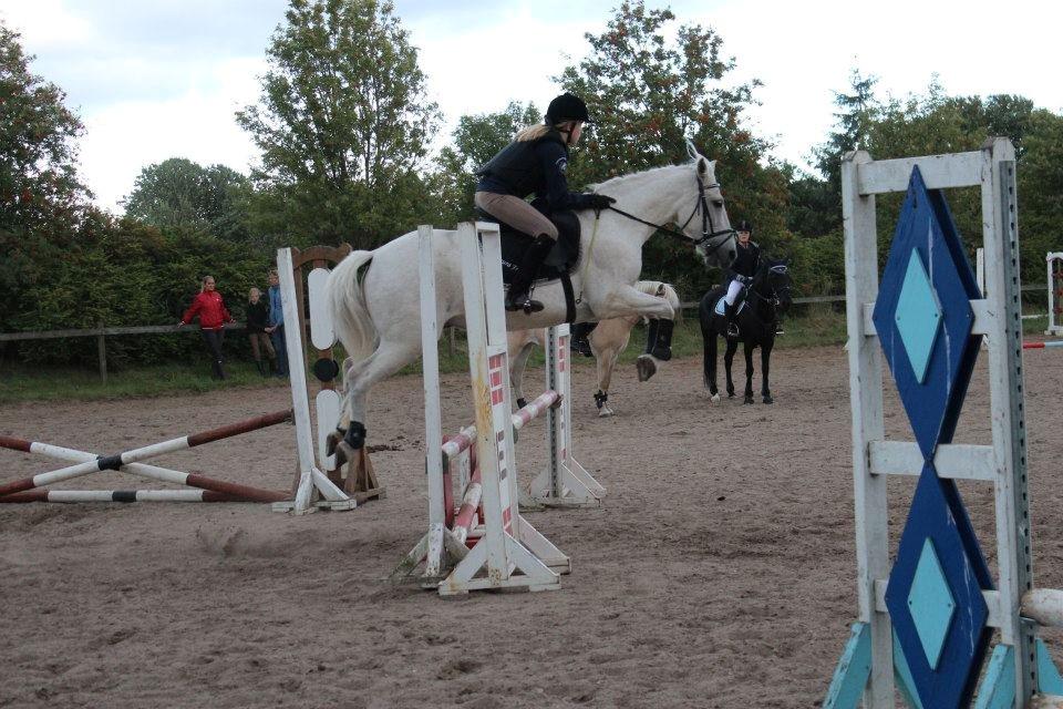 Anden særlig race Mickey billede 15