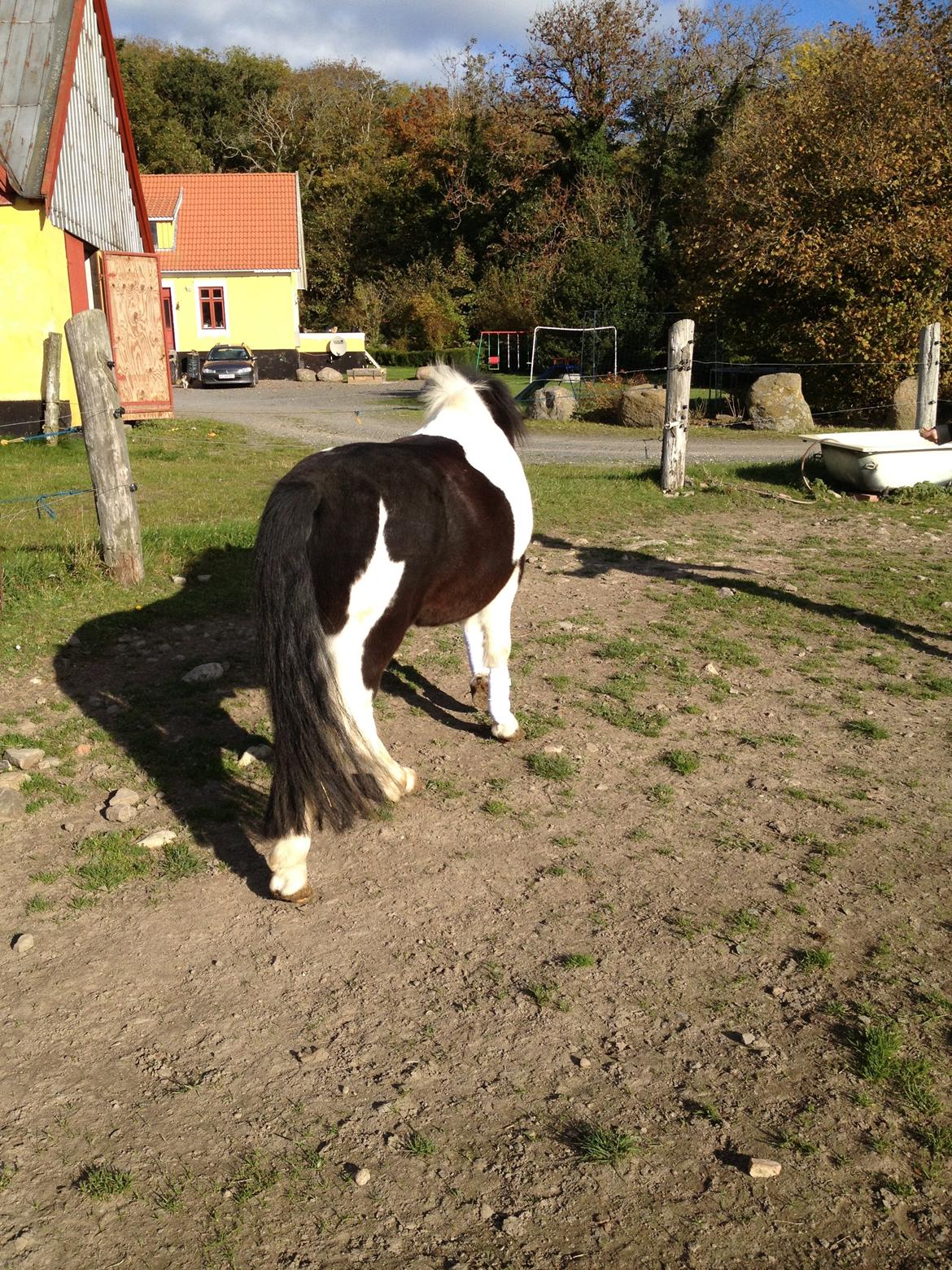 Anden særlig race Tarzan billede 6