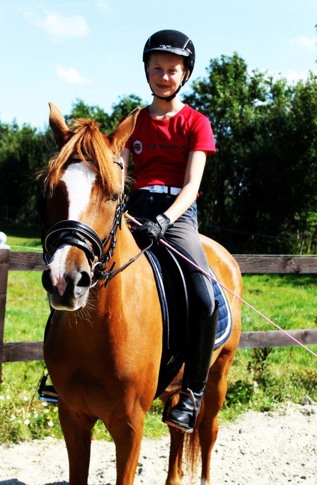 DSP Møgelvangs Ja'dore billede 5