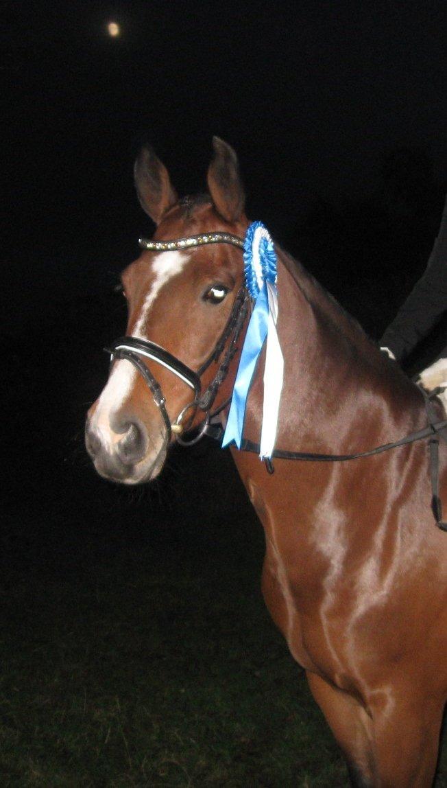 DSP Fontaine billede 1