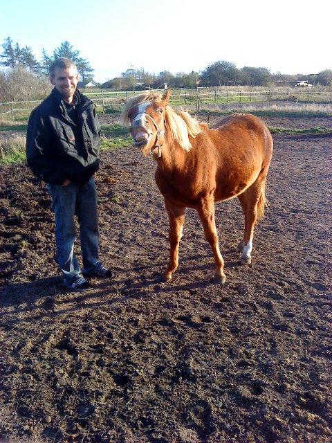 Anden særlig race Nice Surprice - Smil til fotografen :) billede 11