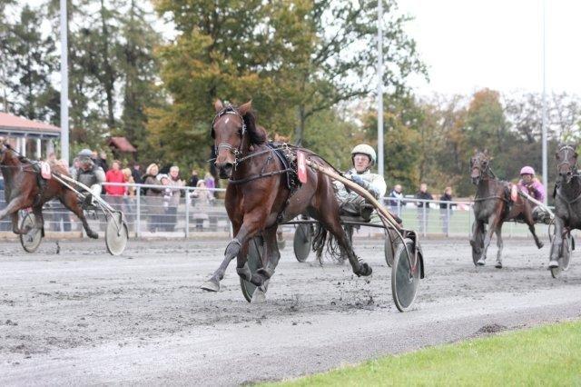 Traver Matilde Pil - Bornholm 13/10 - 2012
1. plads - René Kjær
Foto: Martin Timm billede 6