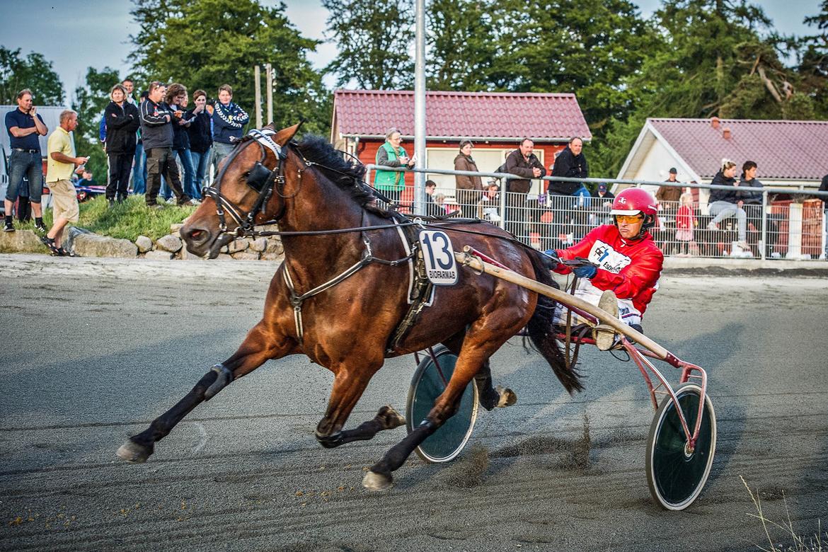 Traver Matilde Pil - Bornholm 19/6 - 2012
John Gommans
Foto: Torben Ager - www.photopassion.dk billede 5