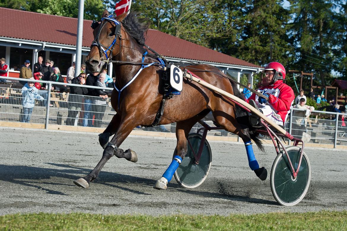 Traver Matilde Pil - Bornholm 5/6 - 2012
John Gommans
Foto: Torben Ager - www.photopassion.dk billede 2