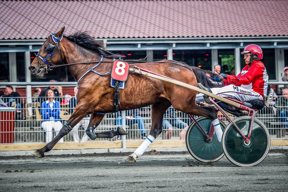 Traver Matilde Pil - Bornholm 12/6 - 2012
2. plads - John Gommans
Foto: Torben Ager - www.photopassion.dk billede 1