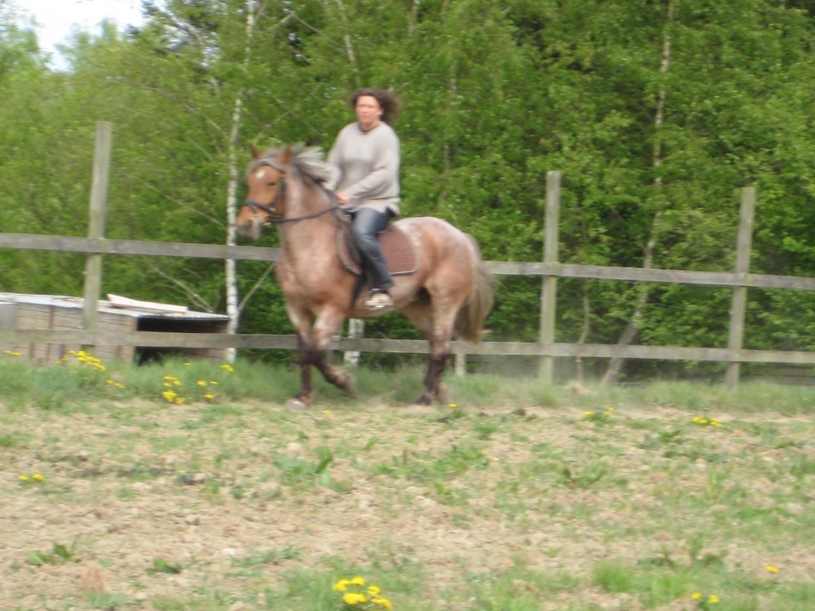 Anden særlig race Baliey [Himmelhest] - Min mor og Bailey !<3 billede 10