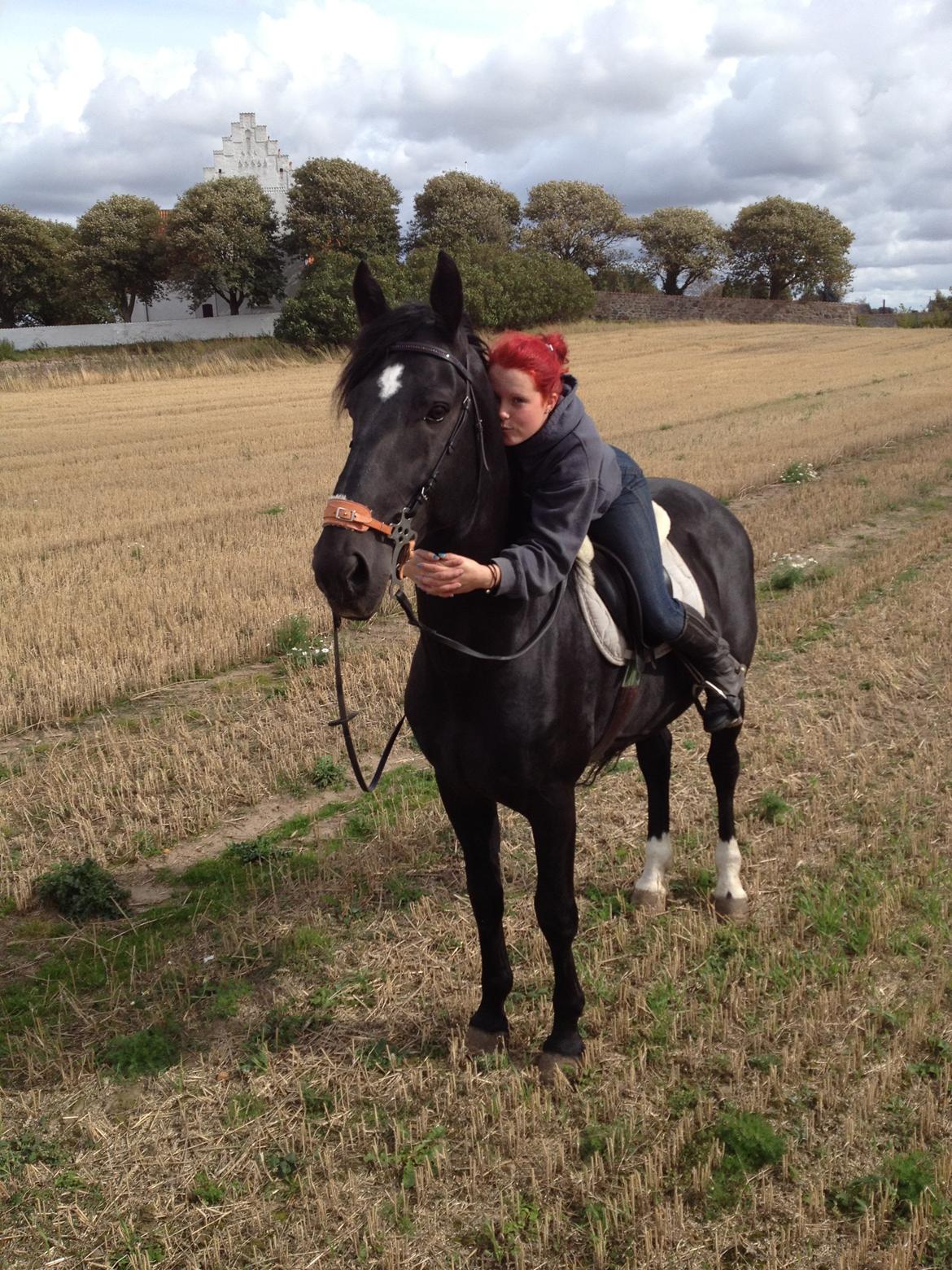 Oldenborg Charmeur *Hingst* - Elsker ham ! billede 18