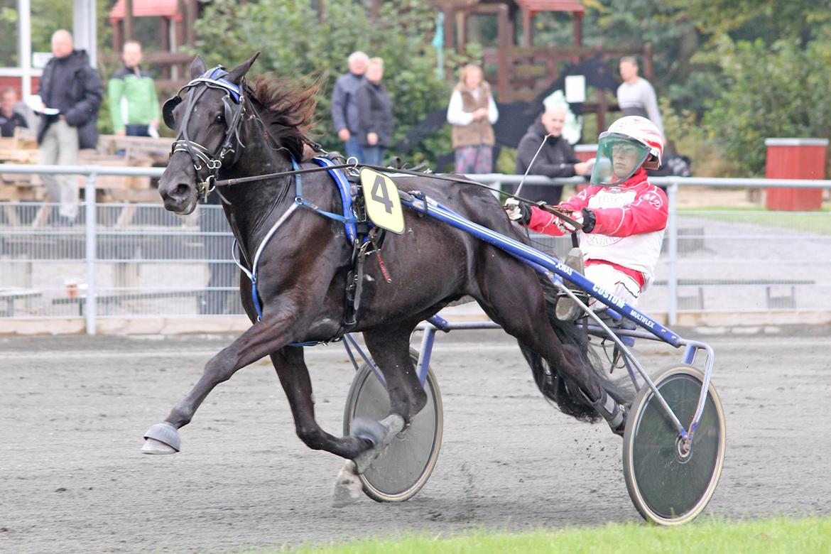 Traver Silas billede 1