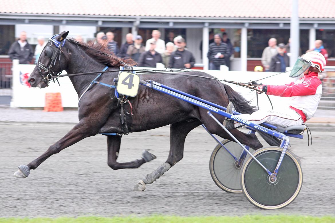 Traver Silas billede 2