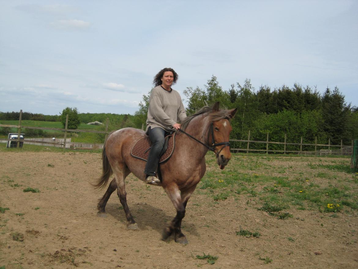Anden særlig race Baliey [Himmelhest] - Min mor og Bailey !<3 billede 11