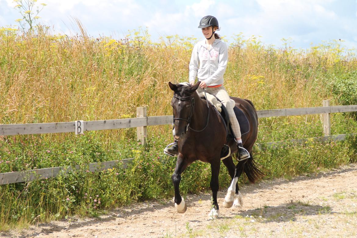 Anden særlig race Leika billede 18