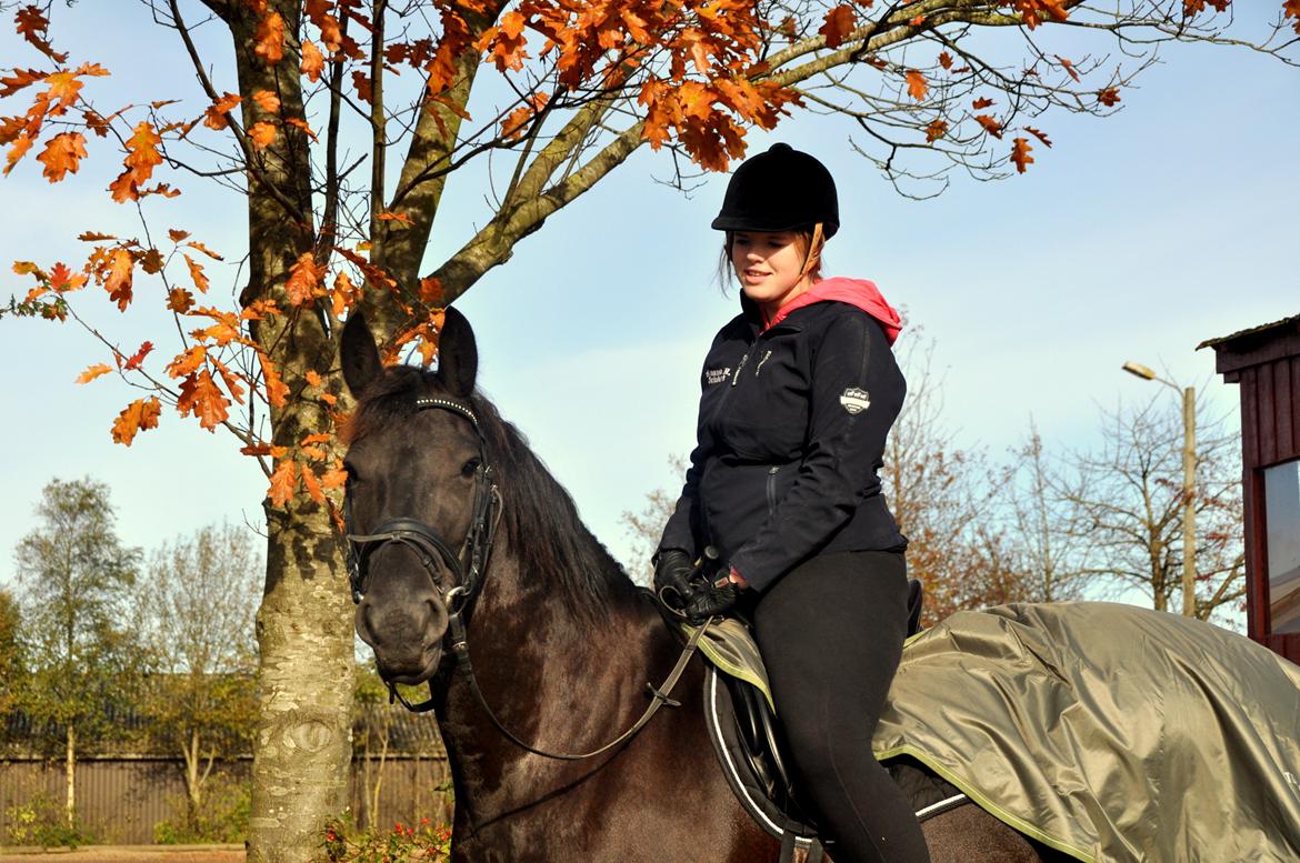 Frieser Tessa - Efterår 12, Foto: Stine L. billede 1