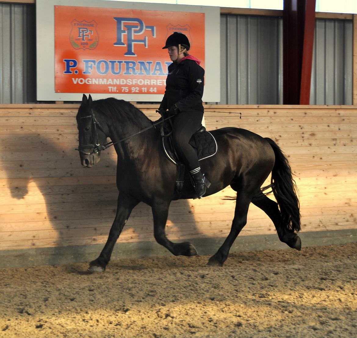 Frieser Tessa - Efterår 12, Foto: Stine L. billede 17