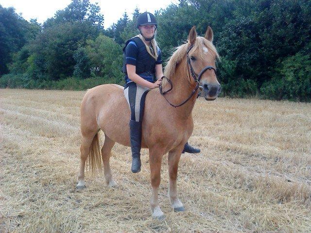 Anden særlig race Nellebjerggård's Gandalf billede 10